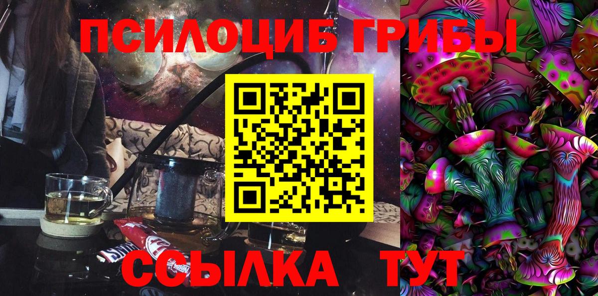 Каменка  Галлюциногенные грибы MAGIC MUSHROOMS  Вход с VPN 